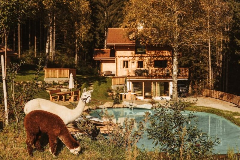 Waldchalet des Landgut Moserhof
