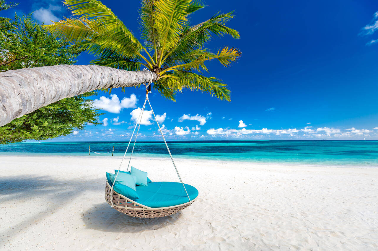 Hängematte unter einer Palme am weißen Sandstrand