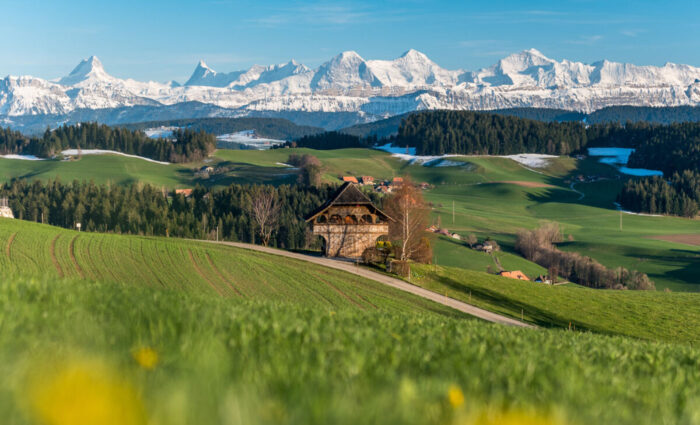 Honeymoon Horoskop: Das raten die Sterne!