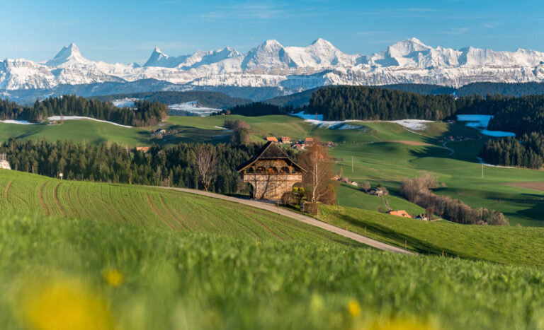 Honeymoon Horoskop - Ein Panoramablick auf die Schweizer Alpen mit schneebedeckten Gipfeln, umgeben von üppigen grünen Feldern und kleinen Bauernhäusern, die das ländliche Leben in der Schweiz symbolisieren.