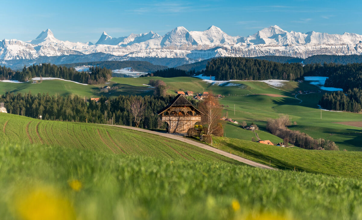 Honeymoon Horoskop - Ein Panoramablick auf die Schweizer Alpen mit schneebedeckten Gipfeln, umgeben von üppigen grünen Feldern und kleinen Bauernhäusern, die das ländliche Leben in der Schweiz symbolisieren.