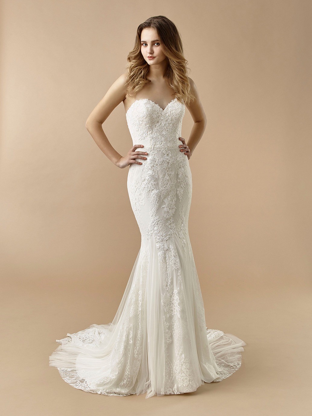 Brautkleid im Fit-and-Flare-Schnitt mit bestickter Spitze, trägerlosem Sweetheart-Ausschnitt und Schleppe von Beautiful Bridal, Modell BT 20-17